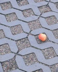 Изображение гладкой тротуарной бетонной плитки Polbruk Meba
